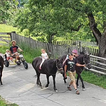 Appartamento Fenzhof