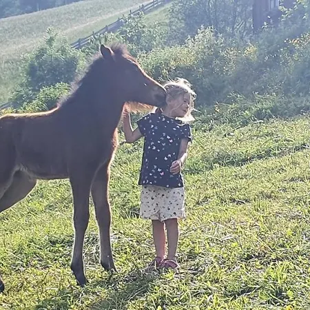 Apartament Fenzhof Schladming