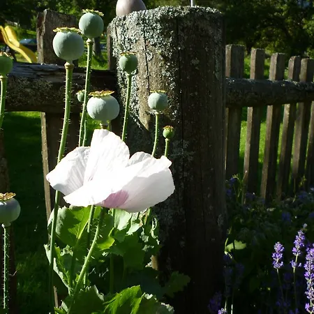 아파트 Fenzhof 슈라드밍