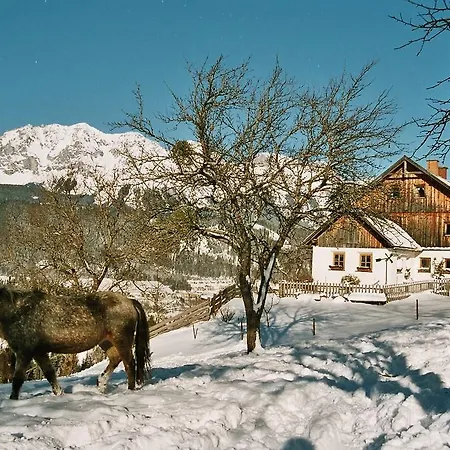 Fenzhof Appartamento *