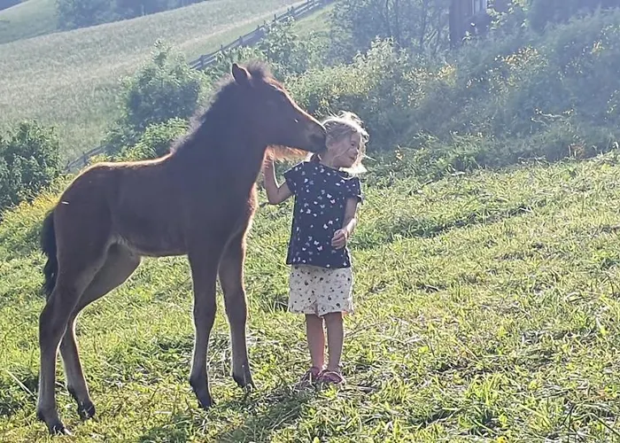 Apartment Fenzhof Schladming