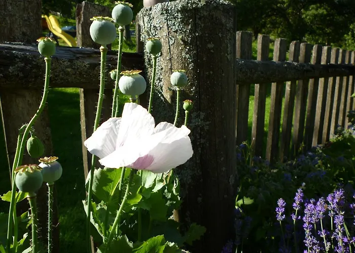 Appartement Fenzhof Schladming