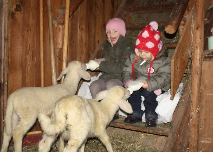Fenzhof Apartment Schladming